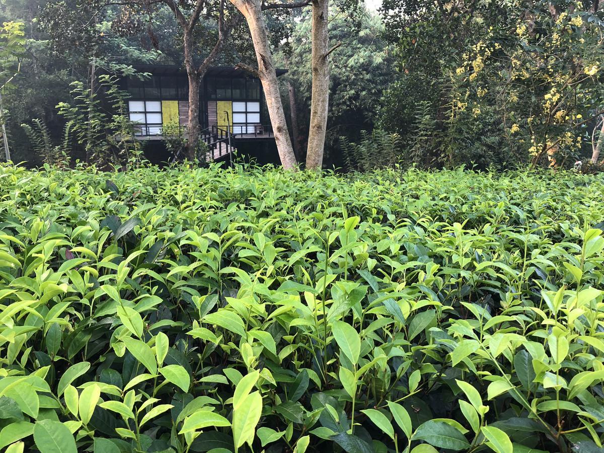 The Country House Chalets Galle Exterior photo